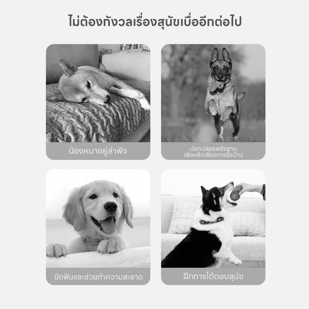 yoyopet: ของเล่นสุนัข Dog Puller เชือกดึง ลูกบอลเชือกดึง ที่กัดฟันสุนัข ยางกัดของเล่นหมา Dog Toy รูปที่ 4