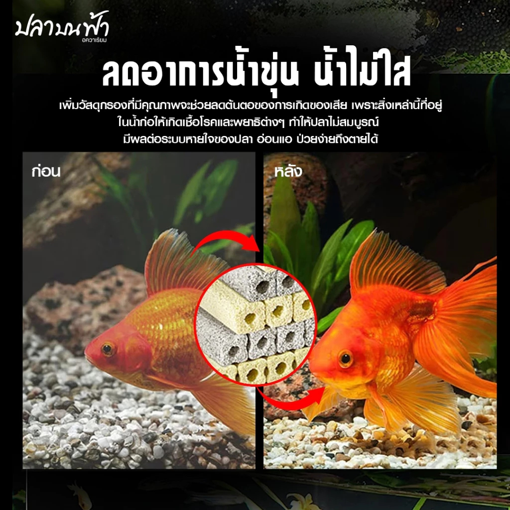 C-BAR ซีบาร์ วัสดุกรองตู้ปลา-บ่อปลา น้ำใส ลดของเสีย thumbnail 3