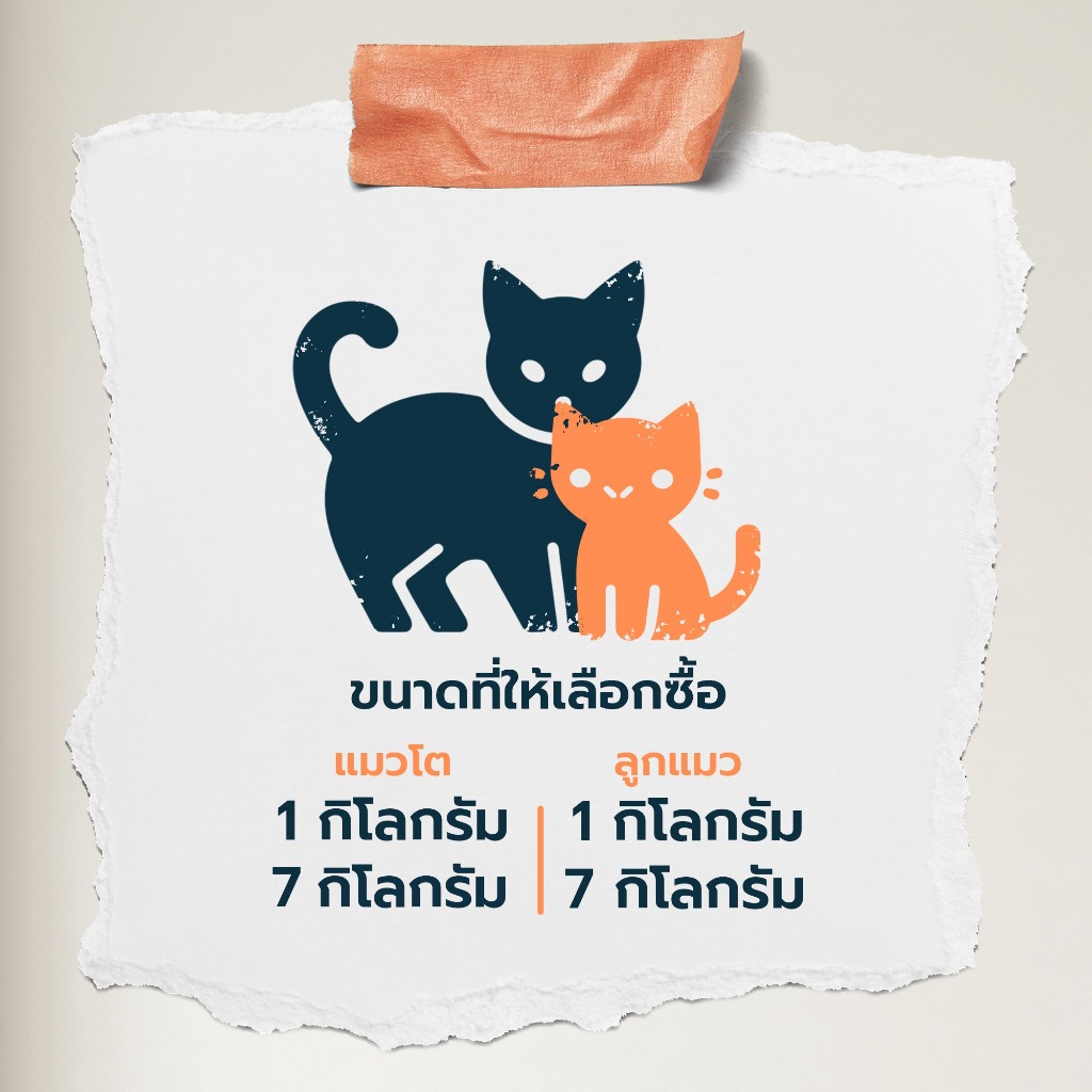 รูปภาพ 7