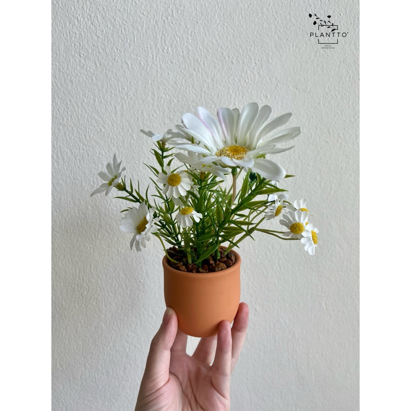 ดอกไม้ปลอม เดซี่ กระถางดินเผา กว้าง 7 cm สูงรวม 20 cm