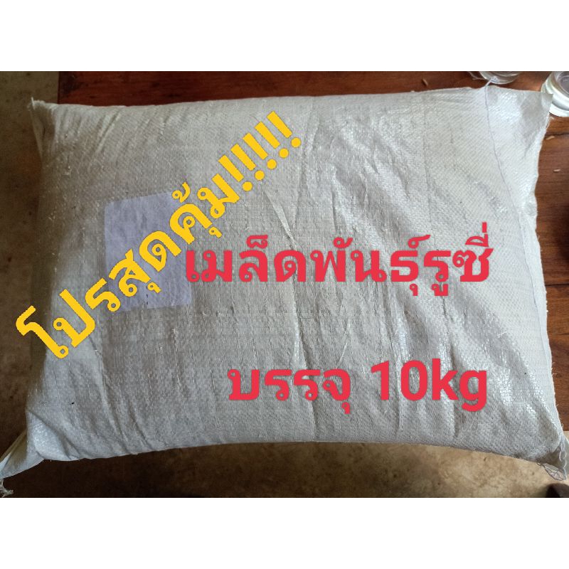 เมล็ดพันธุ์หญ้ารูซี่(10กก.)