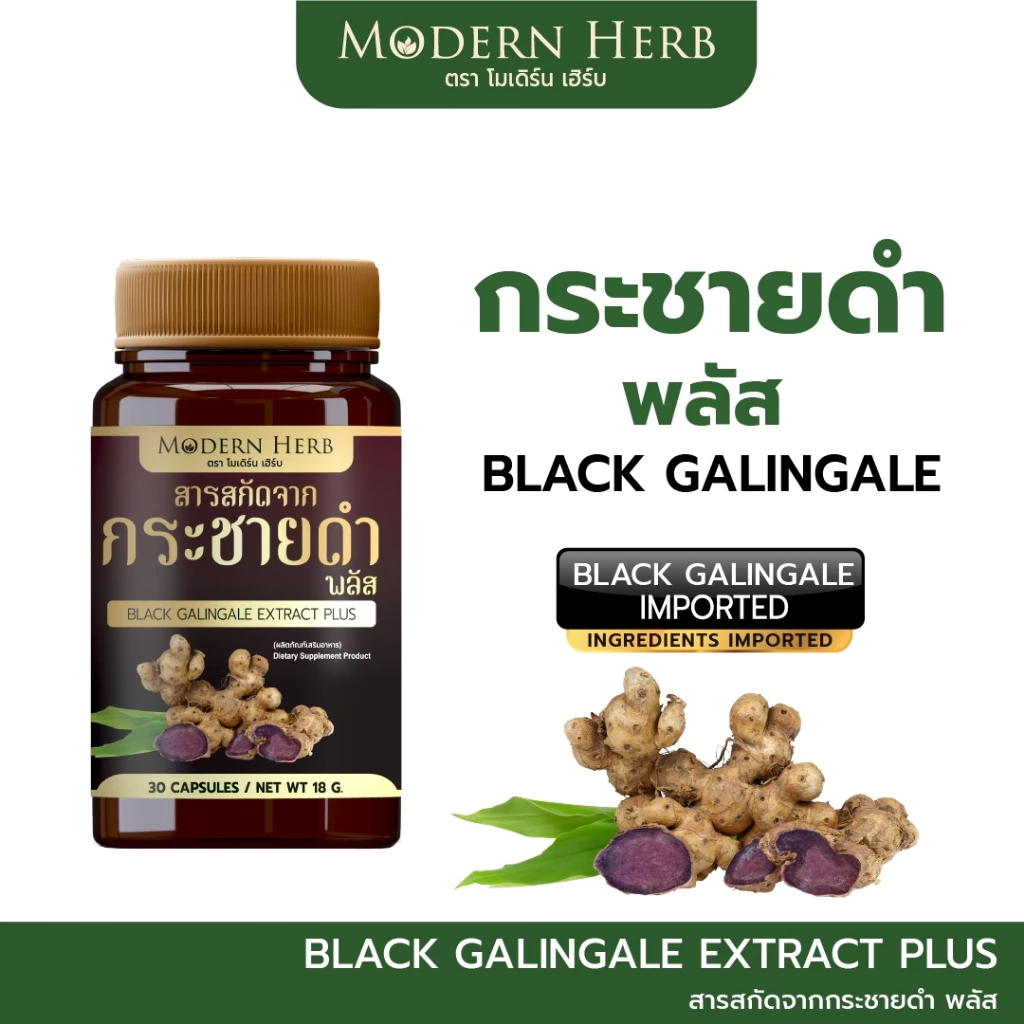 Modern Herb Black Galingale Extract Plus สารสกัดกระชายดำ