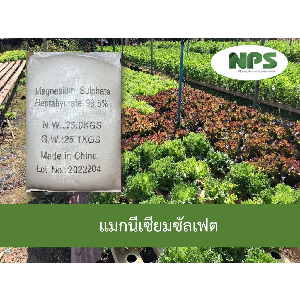 ปุ๋ยเกล็ดแมกนีเซียมซัลเฟต  (1 กิโลกรัม)