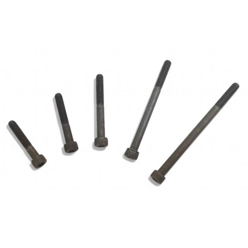 BSE สกรูหัวจม สีดำ เกรด12.9 M6X10 - ​M6X100 สกรูหัวหกเหลี่ยมใน หัวจม M6