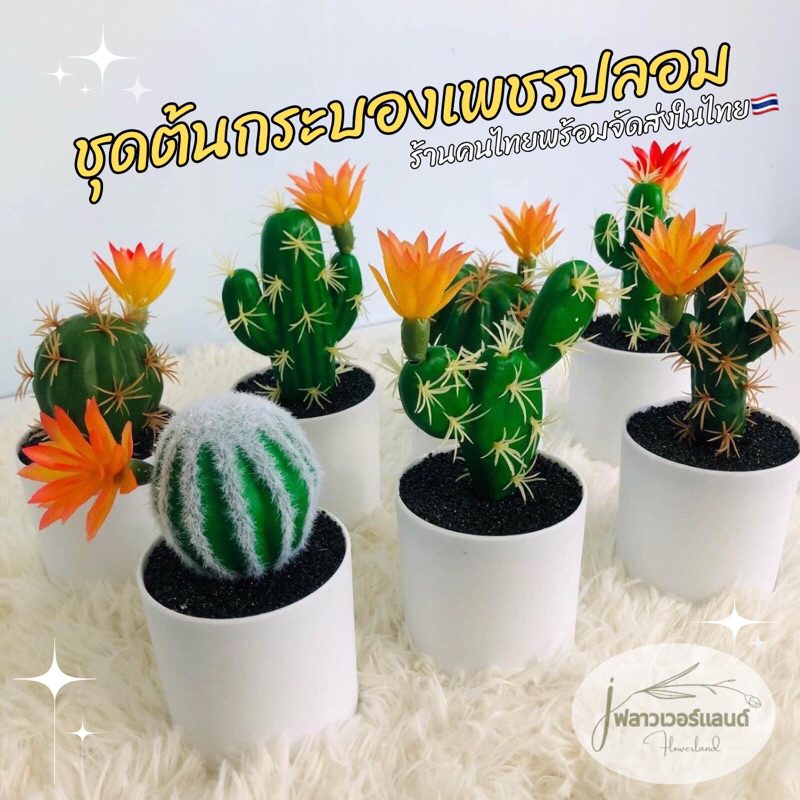ต้นกระบองเพชรชุดตกเเต่งโต๊ะ ดอกไม้ปลอมดอกไม้ประดิษฐ์ ตกแต่งบ้านตกแต่งคาเฟ่ตกแต่ง Flower