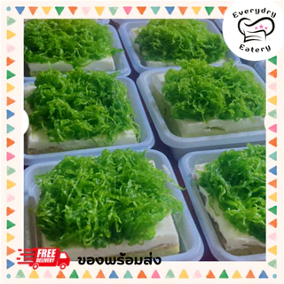 ฝอยทองไข่ ทองใบเตยสด 500 กรัม 1 กก. สูตรโบราณจากเพชรบุรี เส้นเล็ก สีสวย หวานน้อย ไม่คาวไข่ พร้อมส่ง