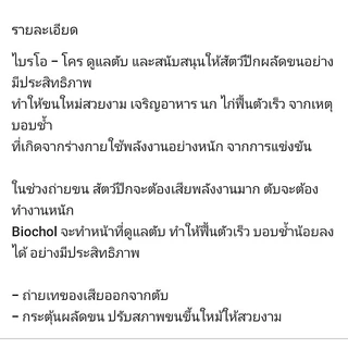 B - CHOL ( แบ่ง ) สนับสนุน นก ไก่ ผลัดขน ถ่ายเทของเสียออกจากร่างกาย ขวดหัวหยด