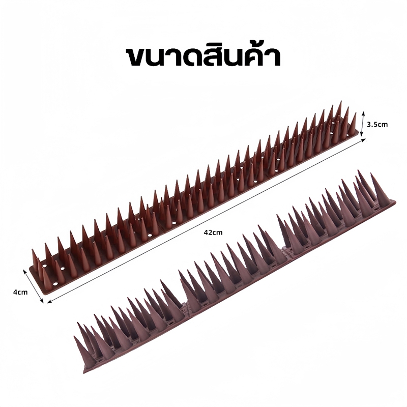 รูปภาพ 8