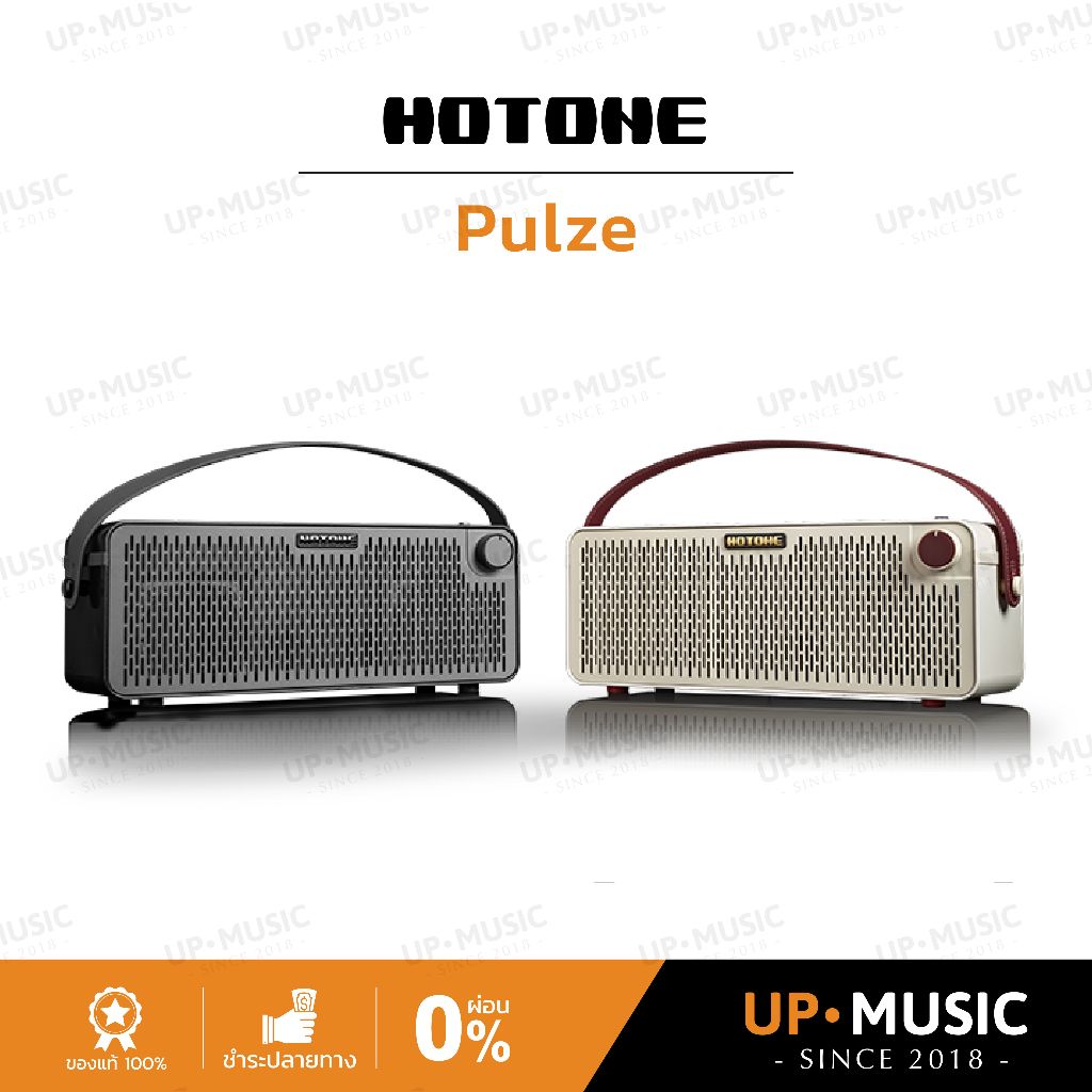 ตู้แอมป์กีตาร์พกพา Hotone Pulze