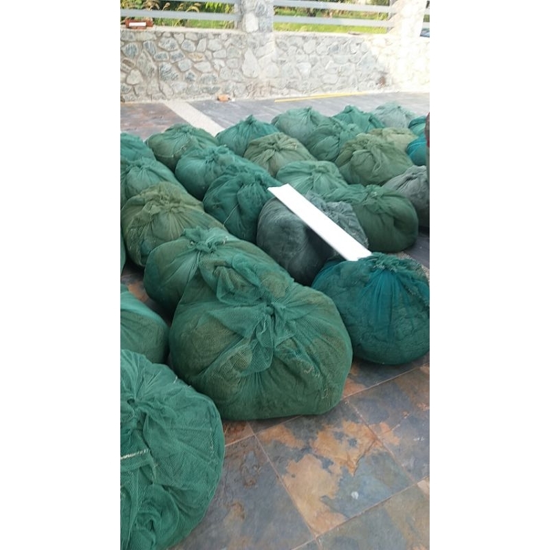 อวนเขียวมือสอง น้ำหนักประมาณ 10กก. แนะนํา​ใช้​งานในช่องกรองบ่อปลา ทำอวนบอล อวนเก่า ซักล้างได้ ใช้ได้อีกนานไม่ต้องเปลี่ยน - รูปที่ 2