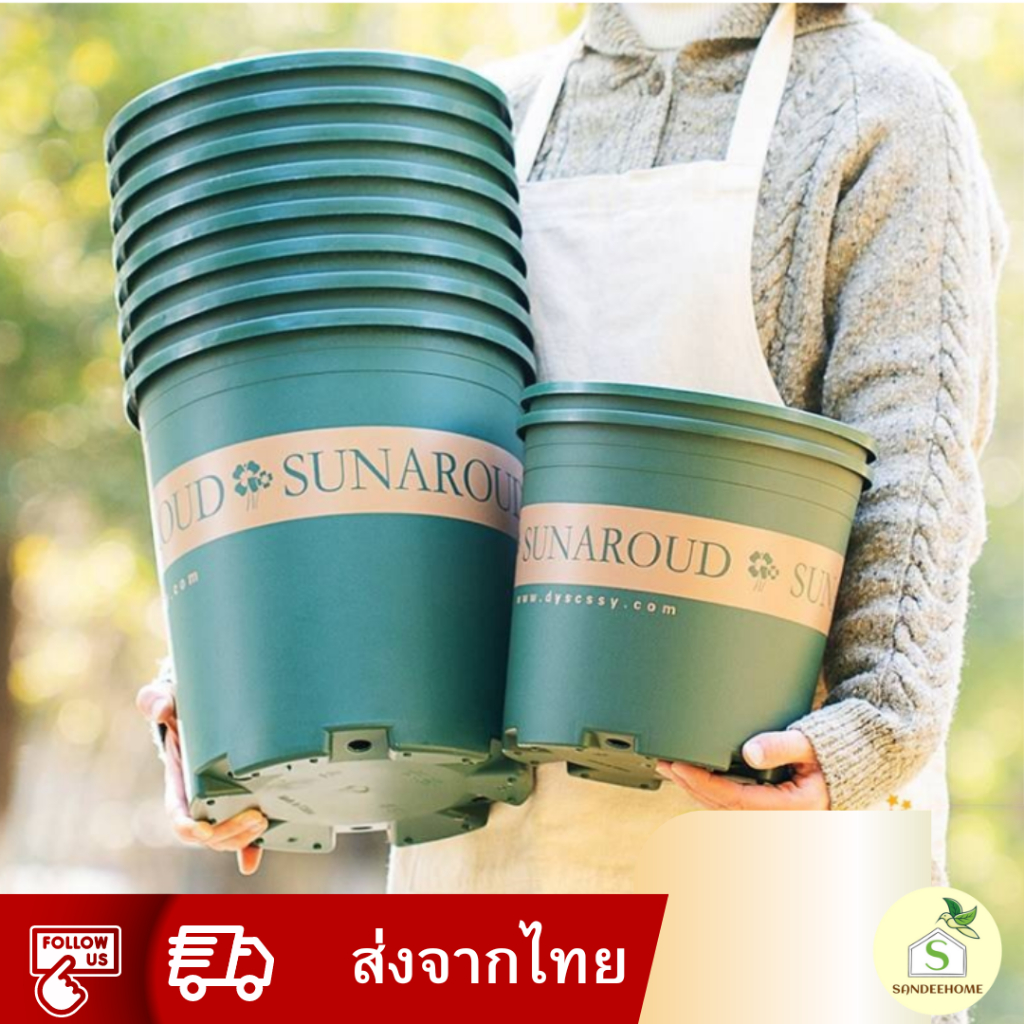 กระถางต้นไม้ สีเขียว 5-11 นิ้ว ระบายน้ำดีแบบพลาสติก กระถางดอกไม้ญี่ปุ่นสีเขียว