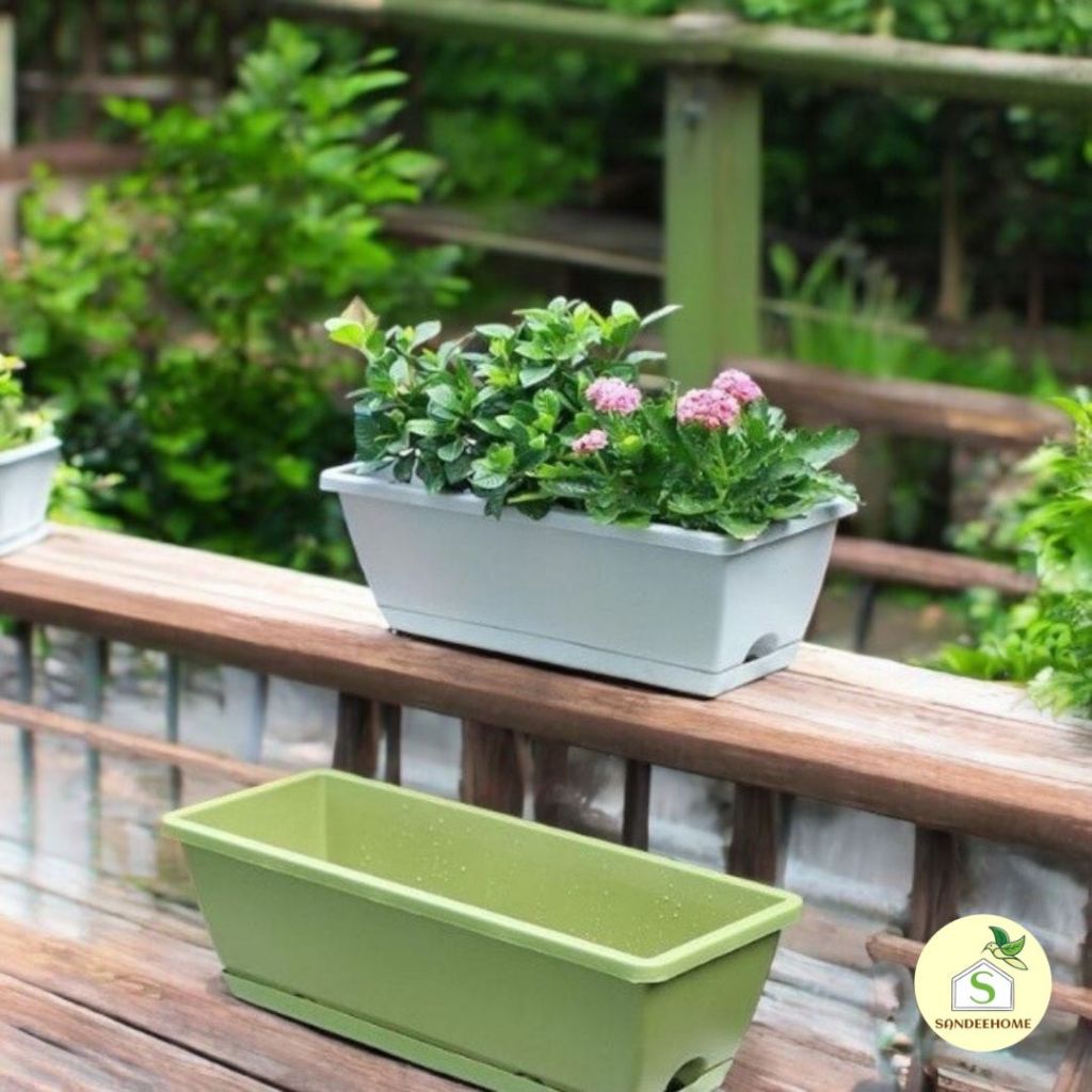 กระถางปลูกผักปลูกต้นไม้ ทรงยาวมีถาดรอง สี่เหลี่ยม ดอกไม้  กระบะปลูกผัก พร้อมส่ง - รูปที่ 6