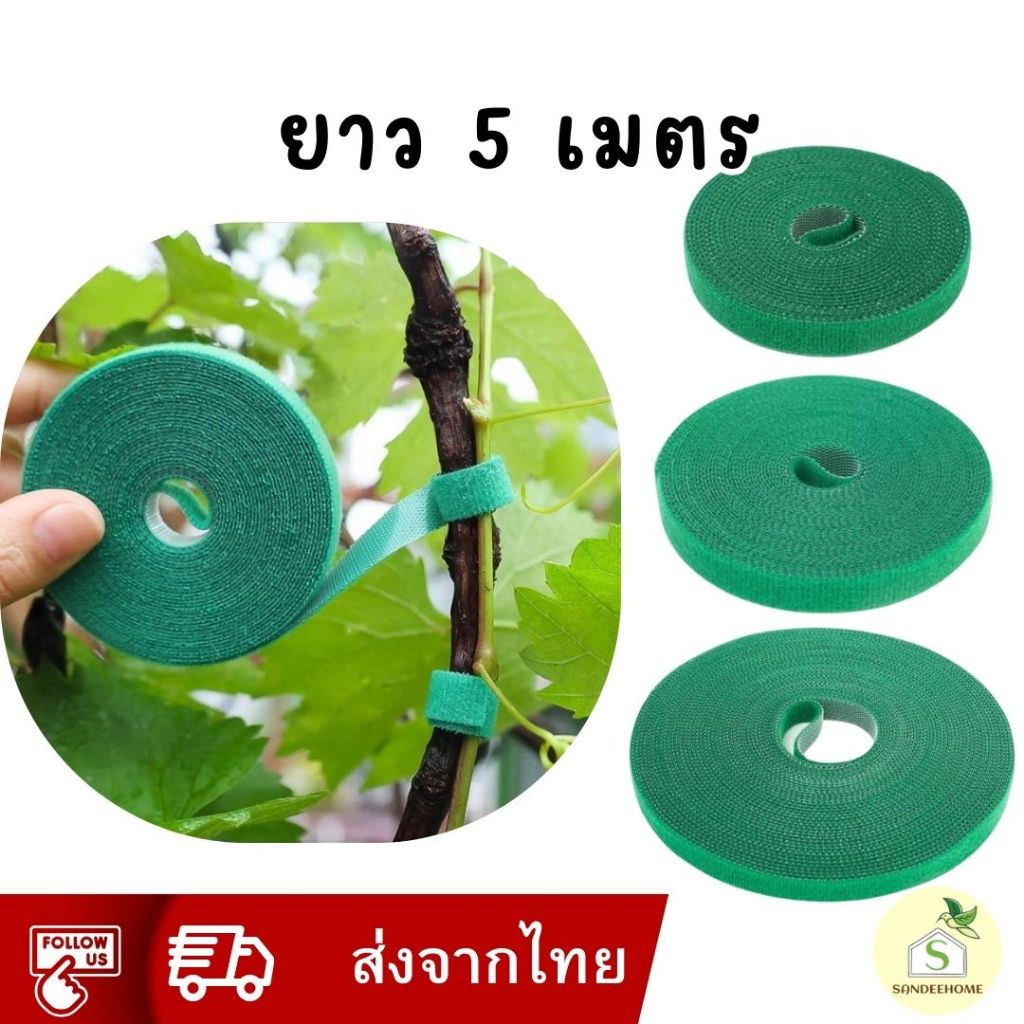 【ส่งจากไทย】เทปตีนตุ๊กแก  5 เมตร 3เมตร สำหรับรัดต้นไม้แบบมีกาวในตัวทนทาน