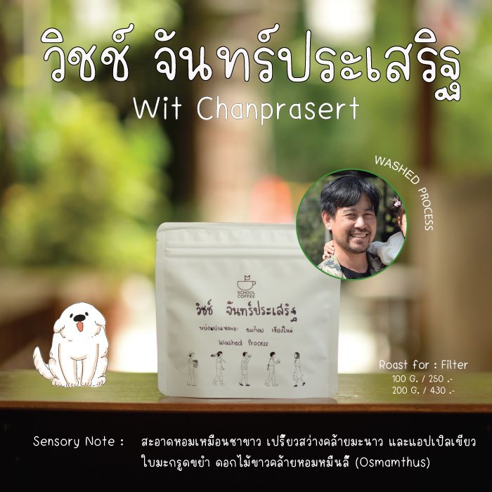 เมล็ดกาแฟ วิชช์ จันทร์ประเสริฐ ‘กาแฟรักษ์ป่าอมก๋อย’ บ้านซอแอะ อ.อมก๋อย จ.เชียงใหม่ 6 Process!