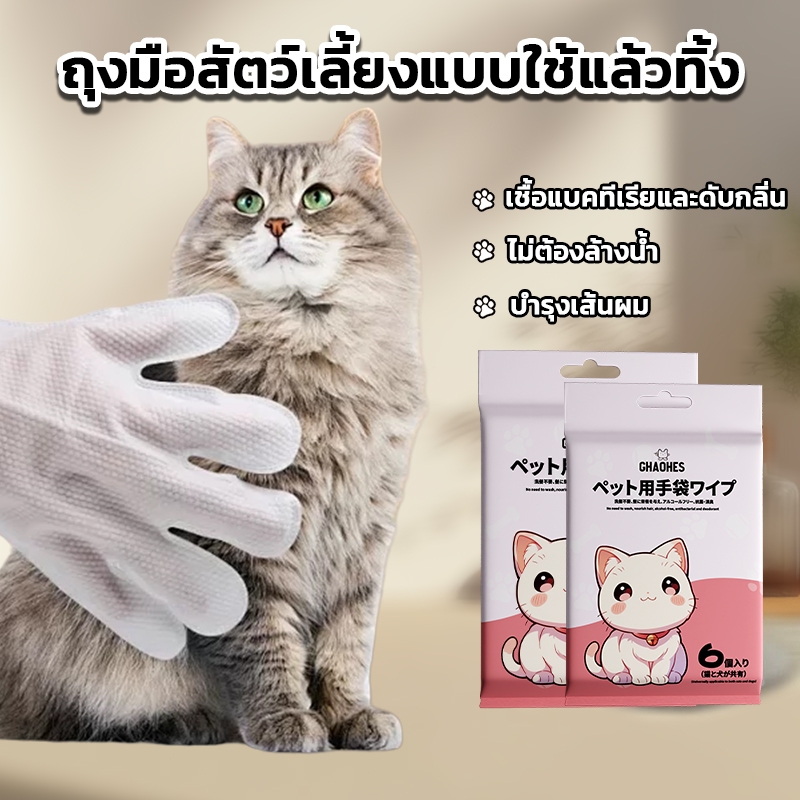 ถุงมืออาบน้ำแห้งสัตว์เลี้ยง (6ชิ้น) สปา/ขจัดกลิ่น ใช้แล้วทิ้ง