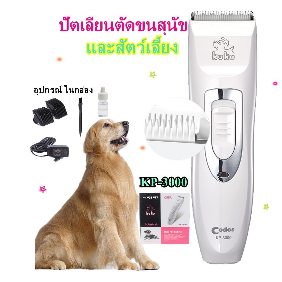 รูปภาพ 8