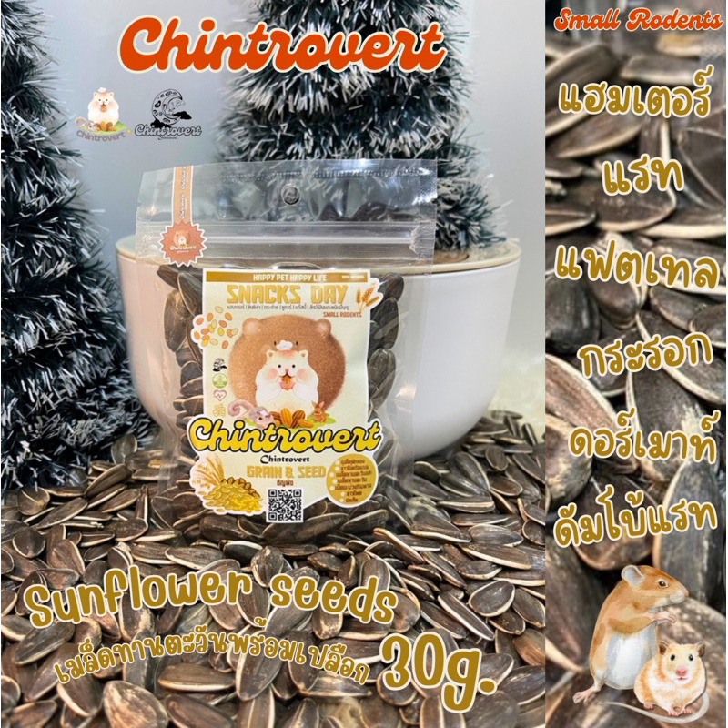 Chintrovert ✨| Sunflower seeds เมล็ดทานตะวันพร้อมเปลือก 30g. | แฮมเตอร์ ดอร์เมาท์ แฟตเทล หนูดัมโบ้ แรท
