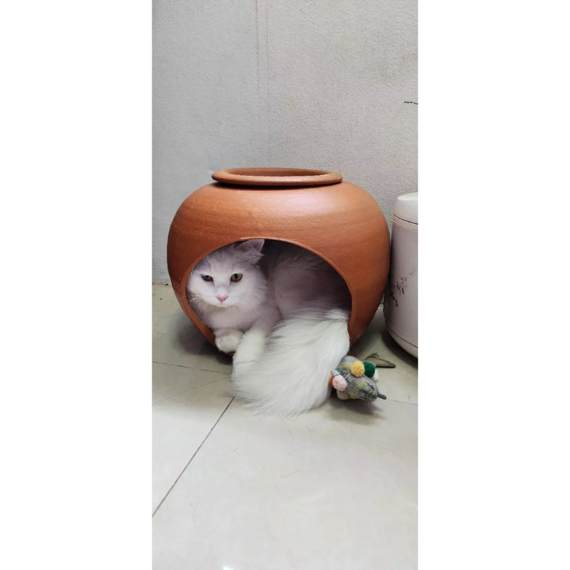 โอ่งแมว ขนาด16นิ้ว วัดตอนเผาสุก💢ฟรีฝาปิดถาดน้ำแข็ง💢อ่านรายละเอียดก่อนกดสั่งนะคะ - รูปที่ 5