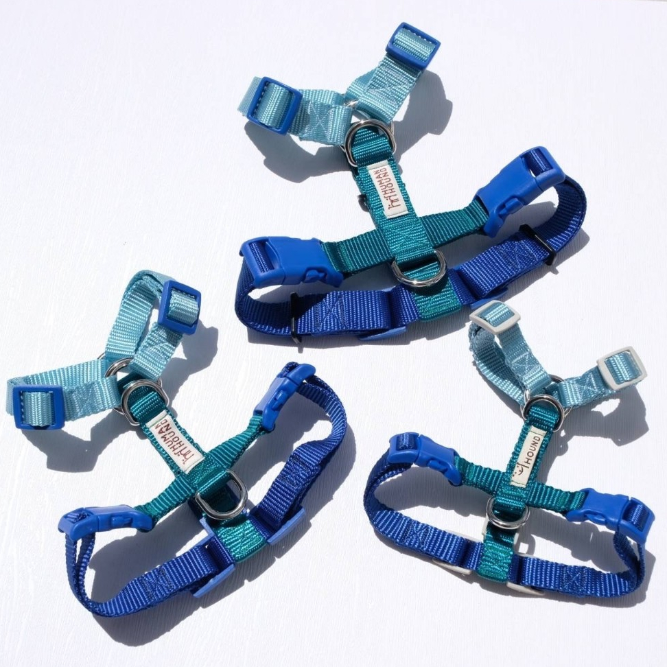 IceBerg H-harness สายรัดอกสุนัข Human&Hound รุ่น h-harness ไซส์ XS-L :  ทรง H-harness