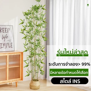 🎍ต้นไผ่ปลอม ต้นไม้ ต้นไผ่ปลอมสวยๆ ไม้ไผ่จริง สีไม่จางลง50ปี 0.9/1.2/1.5M ตกแต่งบ้าน