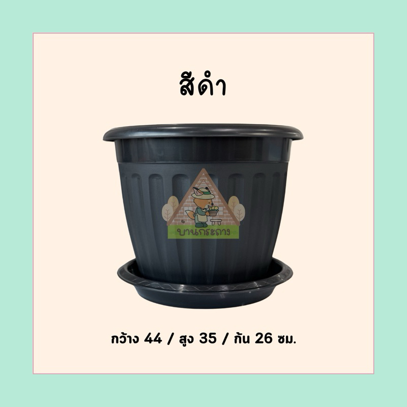 กระถางโรมัน17นิ้วพร้อมจานรอง กระถางทรงโรมัน กระถางน่ารัก รูปที่ 7
