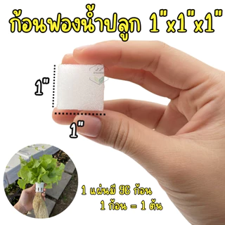ฟองน้ำปลูกผักไฮโดรโปนิกส์ ฟองน้ำเพาะเมล็ด เนื้อละเอียด แบบมีขอบ 100 แผ่น