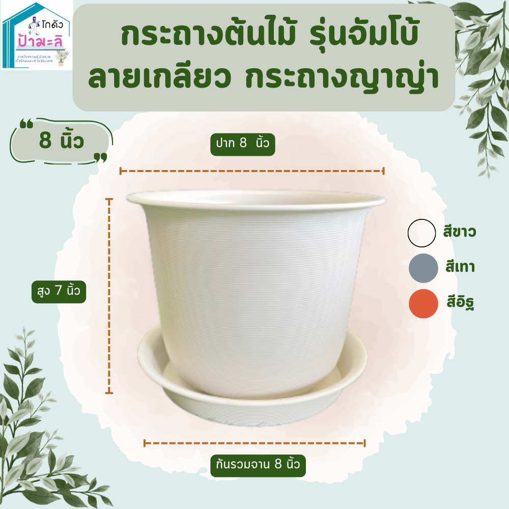 กระถางต้นไม้ รุ่นจัมโบ้ ลายเกลียว กระถางญาญ่า กระถางมินิมอล พร้อมจาน ขนาด 8 นิ้ว