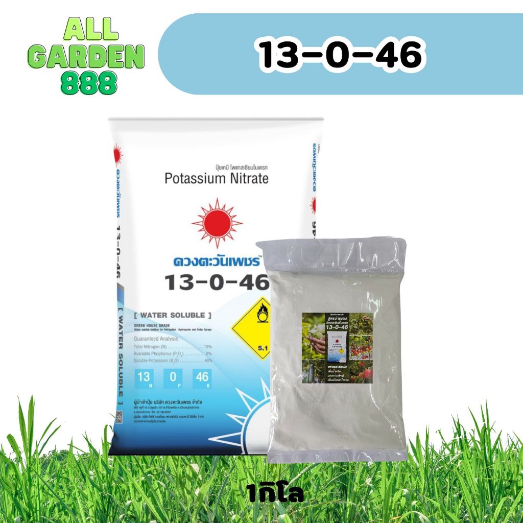 13-0-46 โพแทสเซียมไนเตรท ปุ๋ยเย็น ละลายน้ำ 100%ปุ๋ยลมเบ่งเร่งข้างออกรวง  เพิ่มน้ำหนักผลผลิตพืชทุกชนิ