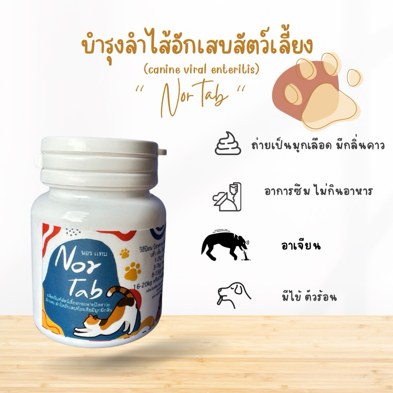 Nor tab (นอร เเทบ )ผลิตภัณฑ์สัตว์เลี้ยงลำไสอักเสบท้องเสียมีมูกมีกลิ่น