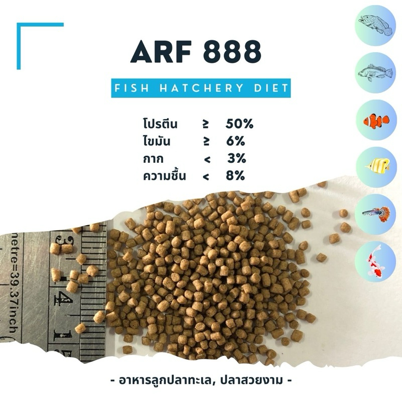 (2กก./ถุง) ARF 888 อาหารลูกปลาวัยอ่อน ช่วงอายุ120วันขึ้นไป กินดี โตไว สุขภาพดี(FISH HATCHERY DIET)