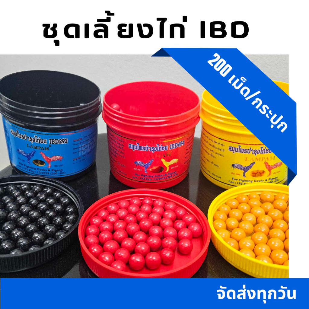 ชุดเลี้ยงไก่ IBD 3สี สีละ20 เม็ด **ชุดทดลอง** ชุดเลี้ยงไก่ลำปำ