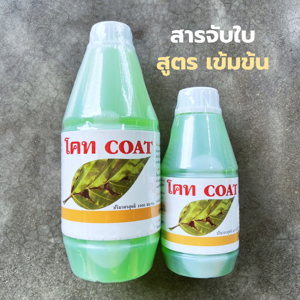 COAT โคท สารจับใบเข้มข้น แผ่กระจายทั่วใบ เพิ่มประสิทธิภาพการดูดซึม ทนการชะล้าง ใช้ผสมได้หลากหลาย ขนาด 500,1000 cc.