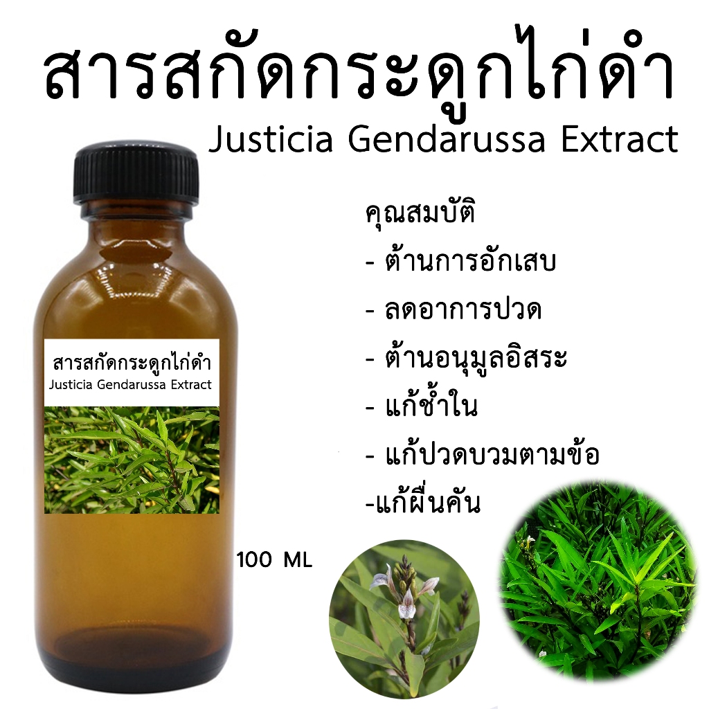 สารสกัดกระดูกไก่ดำ Justicia Gendarussa Extract 100 ML (สารสกัดสมุนไพรสำหรับใช้ในเครื่องสำอาง)