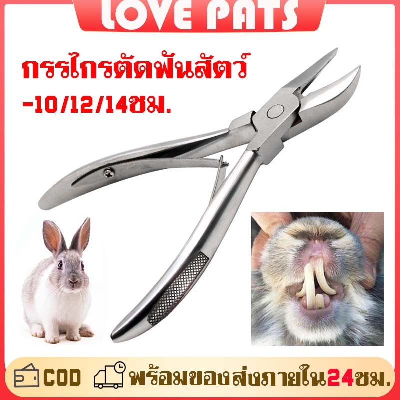 กรรไกรตัดฟันสัตว์ กรรไกรตัดเขี้ยว คีมตัดฟันหมู ตัดฟันกระต่าย สแตนเลส ด้ามจับกันลื่น ยาว 10/12/14 cm