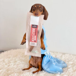 ตัวเดียวอันเดียววัวอบแห้ง จู๋วัว Bully Stick ขนมน้องหมา Hoya Barkery Dog Treats
