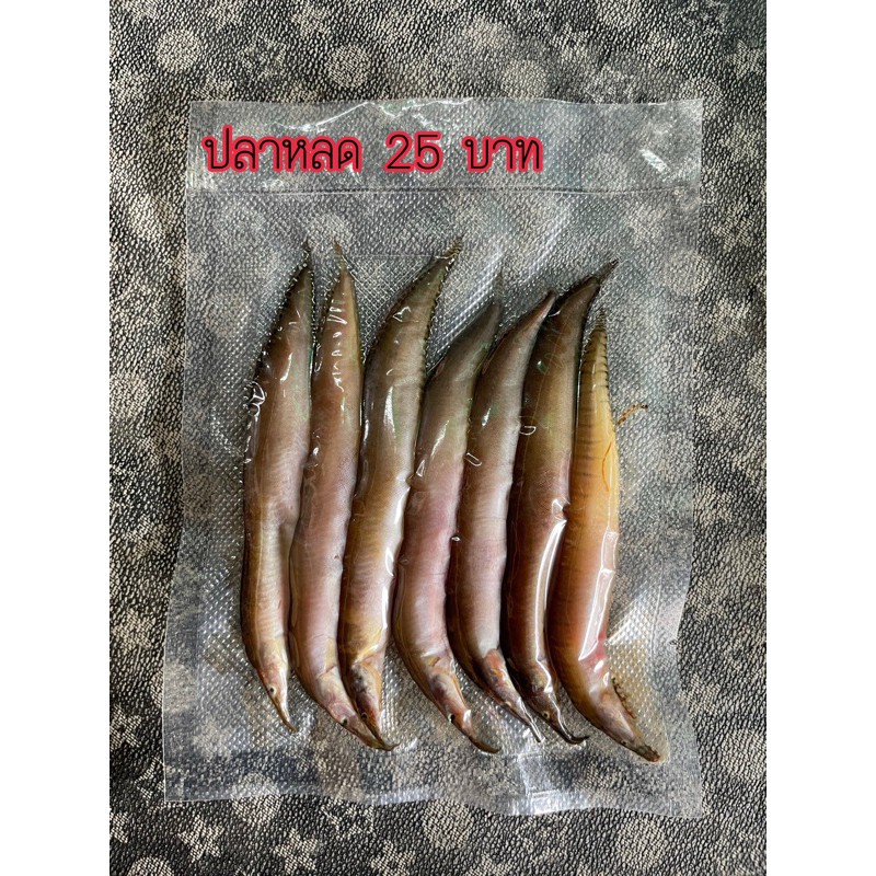 ปลาหลดแดดเดียวทำสดใหม่