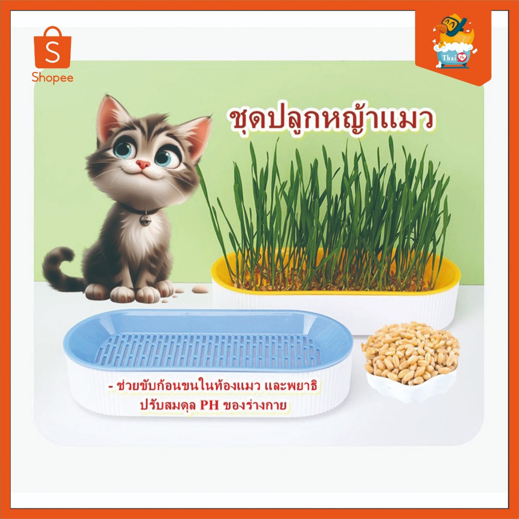 Thai.th🌱ชุดปลูกหญ้าแมว🌱 หญ้าแมวออแกนิก เมล็ดข้าวสาลี ถาดเพาะต้นอ่อน 1 ชุด YC-509