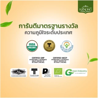 Ranong Tea เรนองที 🌱 พลัส ชาเขียว ชาใบหม่อน [25 ซอง50g] 2 รสชาติ 🌱รสดั้งเดิม รสญี่ปุ่น Green Tea