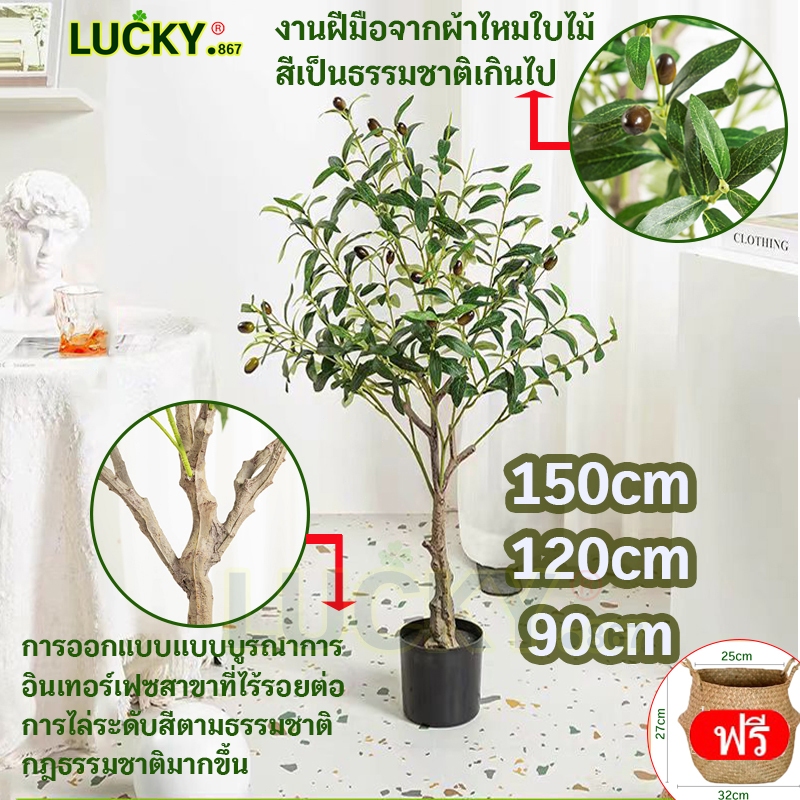 [ พร้อมส่ง] ต้นโอลีฟ ต้นไม้ปลอม ต้นไม้มงคล ต้นไม้ประดิษฐ์ (ไม้ปลอม) ต้นมะกอกปลอม ต้นไม้ตกแต่งมินิมอล