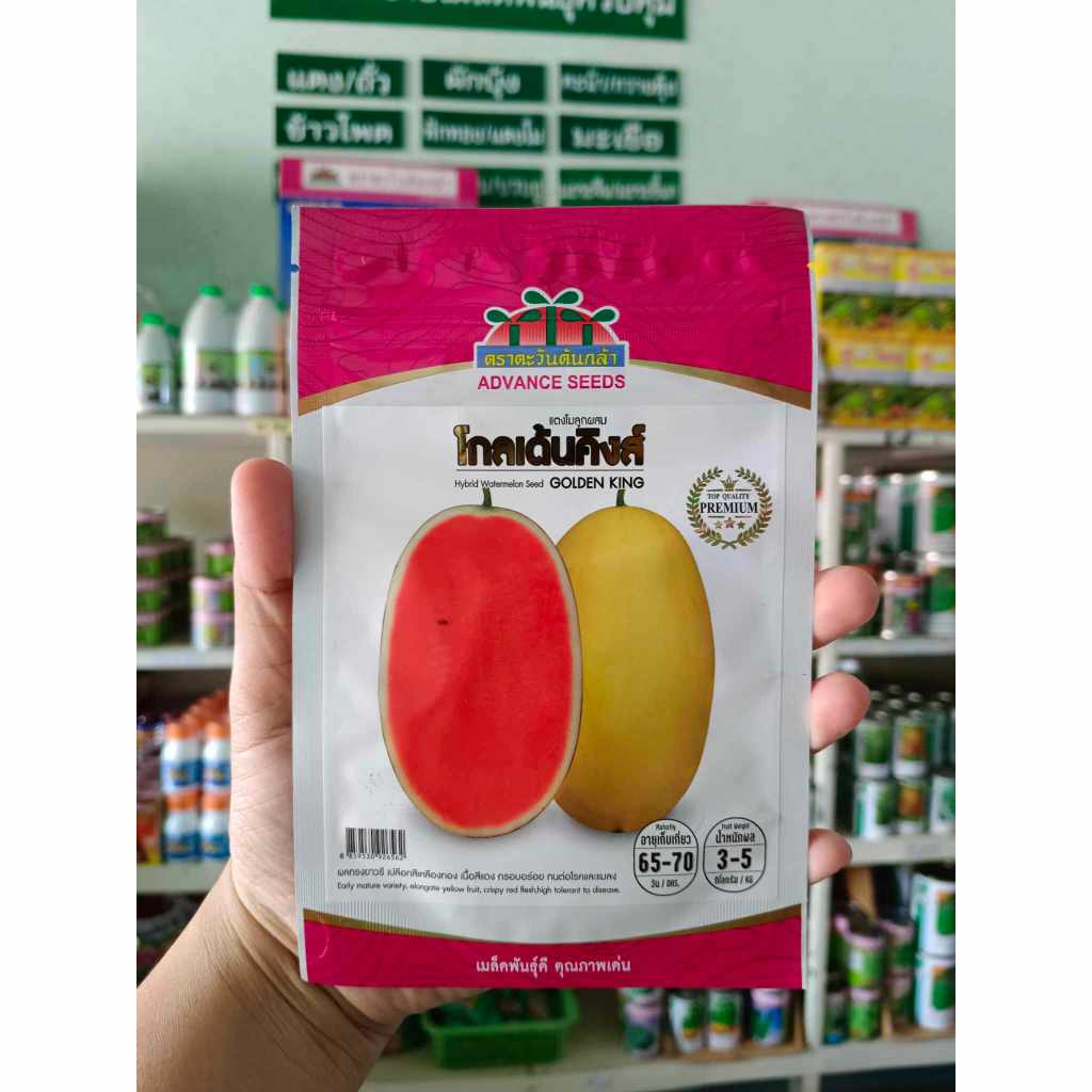 เมล็ดผลไม้ เมล่อน แคนตาลูป แตงโม ตราตะวันต้นกล้า - รูปที่ 5