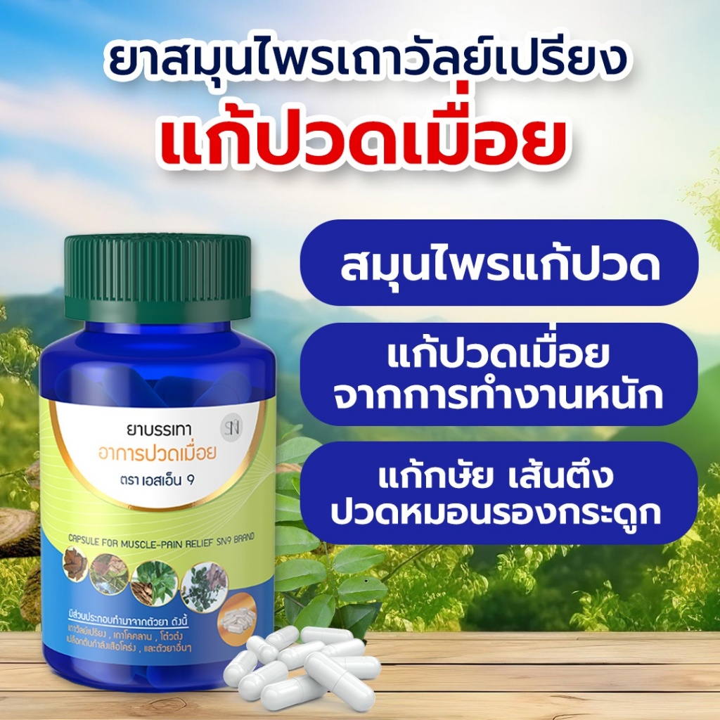 (ของแท้100%) แก้ปวดสมุนไพร เมื่อย เส้นยึด เส้นตึง เอ็นจม กษัยเส้น ร้าวลงขา 1 กระปุก 50เม็ด แบรนด์SN9