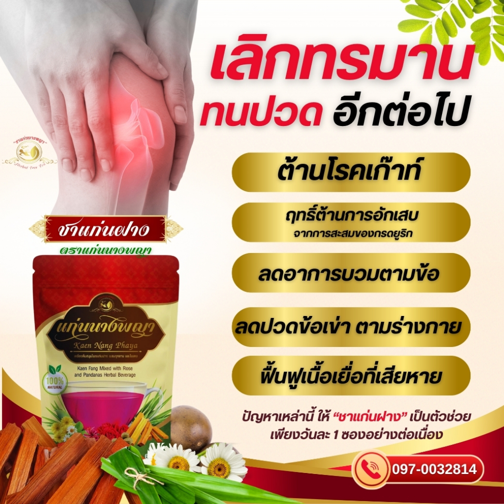 ชาแก่นฝาง ต้านการอักเสบ ข้อเข่า ข้อต่อ ข้อมือ สาเหตุโรคเก๊าท์ ลดปวดตึงตามร่างกาย ปวด ตึงคอ บ่า ไหล