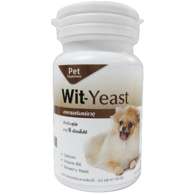 Daisuki Wit-Yeast อาหารเสริมแร่ธาตุ สุนัข 6 เดือน ขึ้นไป แคลเซียม วิตามิน