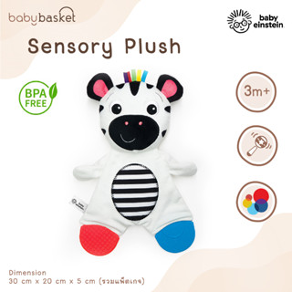 Baby Einstein Sensory Plush ตุ๊กตาผ้ากำมะหยี่ พร้อมยางกัดและริบบิ้น ช่วยกระตุ้นประสาทสัมผัสต่างๆ ช่วยเสริมสร้างพัฒนาการ