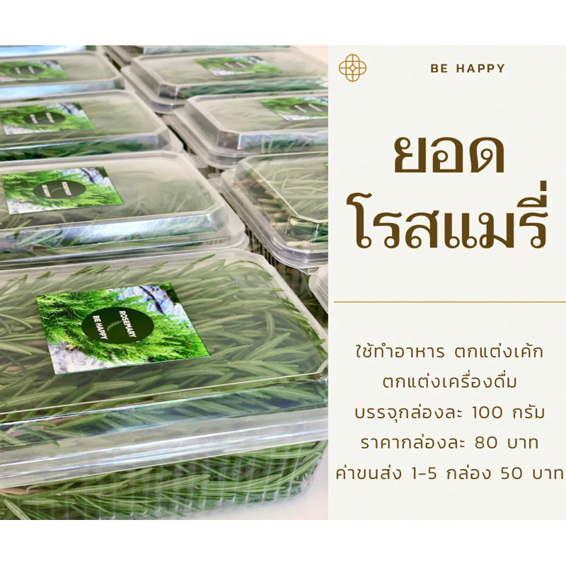 ❤️ยอดโรสแมรี่ สำหรับทำอาหาร ตกแต่งเค้ก ตกแต่งเครื่องดื่ม