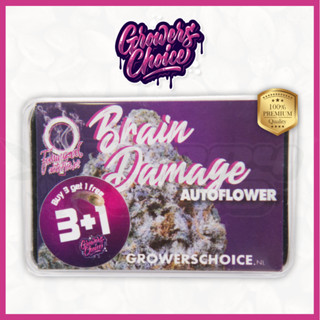 Brain Damage (Auto) - Growers Choice เมล็ดกัญชา นำเข้าแท้100% เมล็ดเพศเมีย