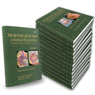 [หนังสือ] The Netter Collection of Medical Illustrations กายวิภาคศาสตร์ anatomy gray grey grant atlas of human medicine