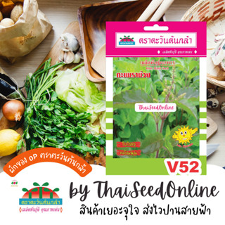 ADV ซฟ เมล็ดพันธุ์ กะเพราม่วง กะเพราแดง ตราตะวันต้นกล้า V52