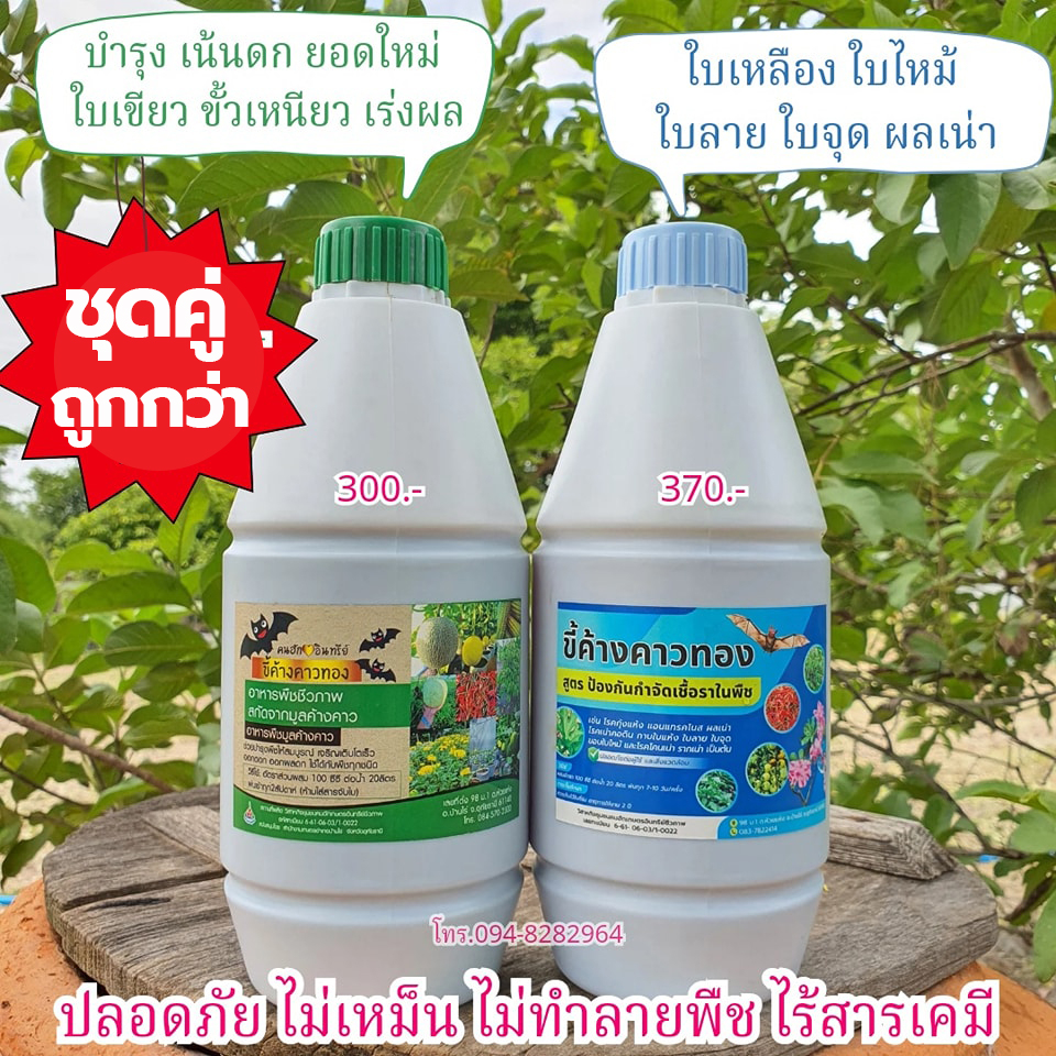 ขี้ค้างคาวทองชุดบำรุงพร้อมกำจัดเชื้อรา ไร้เคมี