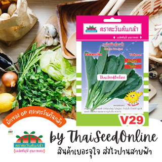 ADV ซฟ เมล็ดพันธุ์ คะน้ายอด ยอดตะวัน ตราตะวันต้นกล้า V29